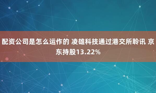 配资公司是怎么运作的 凌雄科技通过港交所聆讯 京东持股13.22%