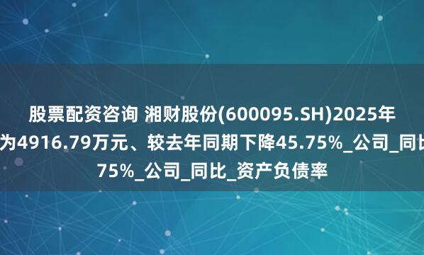 股票配资咨询 湘财股份(600095.SH)2025年一季报净利润为4916.79万元、较去年同期下降45.75%_公司_同比_资产负债率