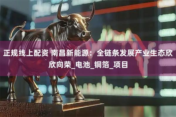正规线上配资 南昌新能源：全链条发展产业生态欣欣向荣_电池_铜箔_项目